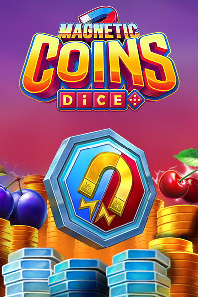 Magnetic Coins Dice